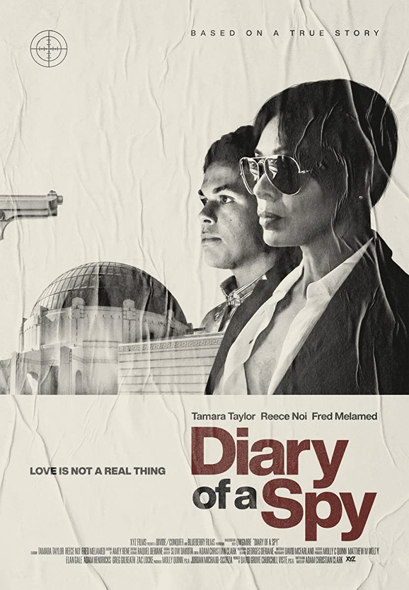 مشاهدة فيلم Diary of a Spy 2022 مترجم